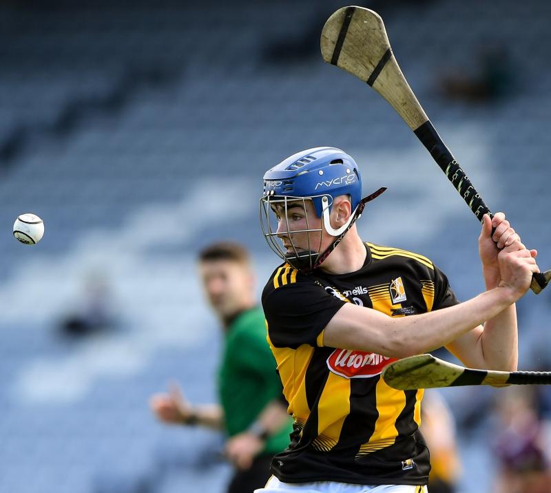 New faces to the fore as Kilkenny enjoy Walsh Cup Shield win over Laois
