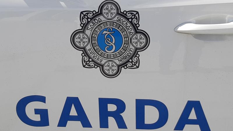 Garda&iacute; seek Renault Clio after fence at Ballybofey house damaged in hit and run