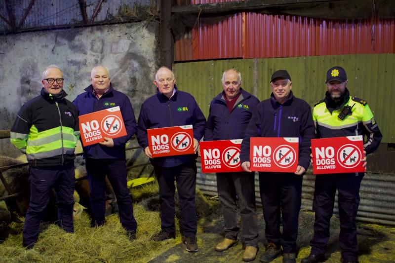 No dogs allowed campaign