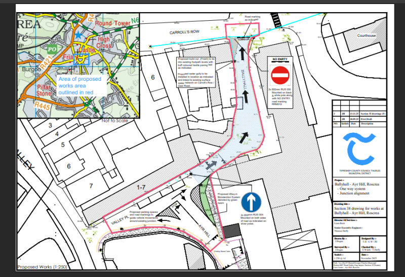 Roscrea's Masterplan will futureproof the heritage town