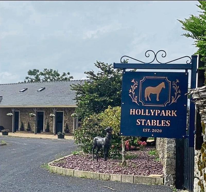 Threat of demolition hangs over state-of-the-art equestrian centre in Limerick