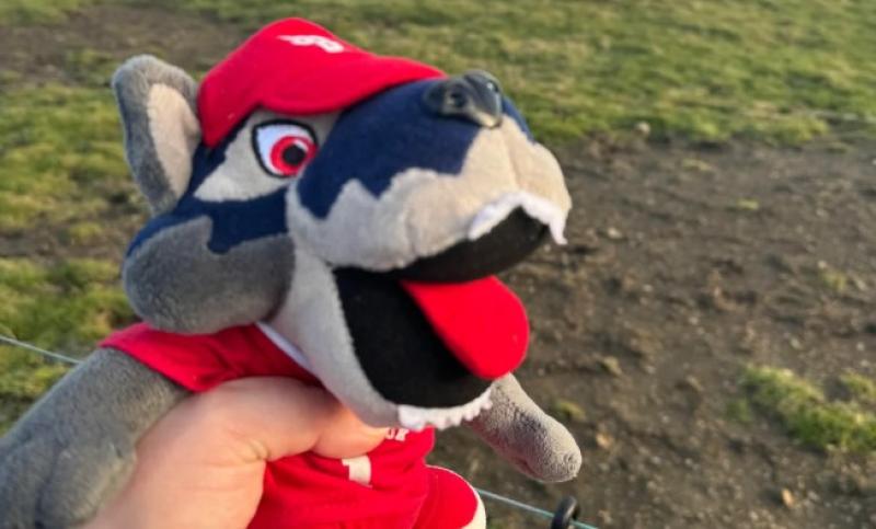 HELP: Have you seen this beloved mascot that was lost in Kilkenny?
