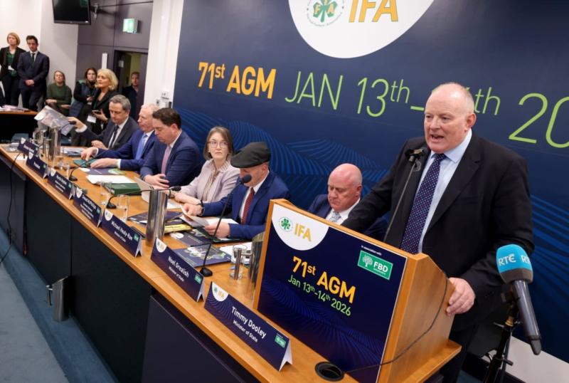 IFA laois francie gorman