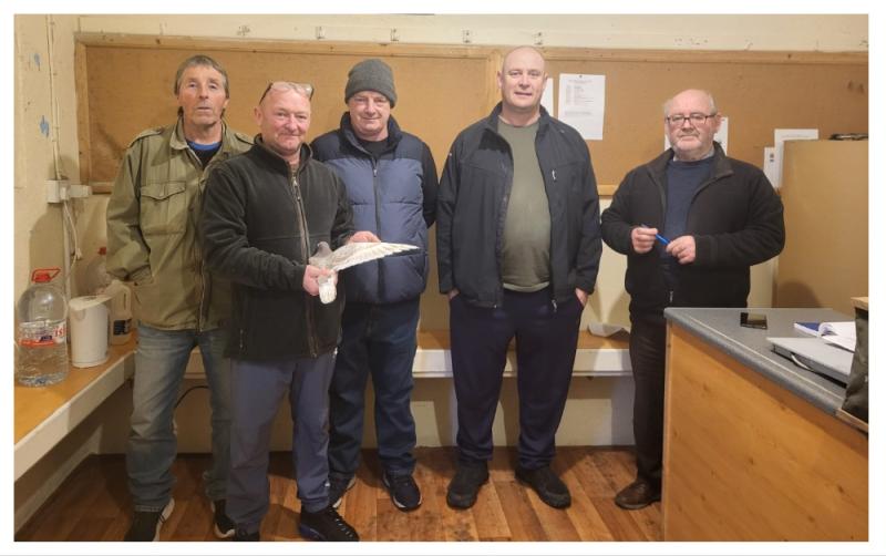 'You'd buy houses with the money spent' - Six decades of pigeon keeping in Carlow