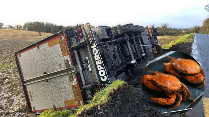 15,000 crabs bound for Portugal almost made a getaway following crash in Donegal