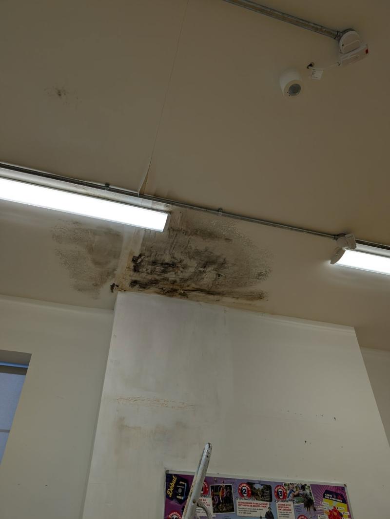 Mould and damp on the walls at the Curragh Community College