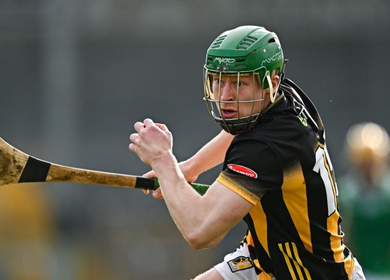 Kilkenny see off stiff Kildare challenge to win Walsh Cup Shield