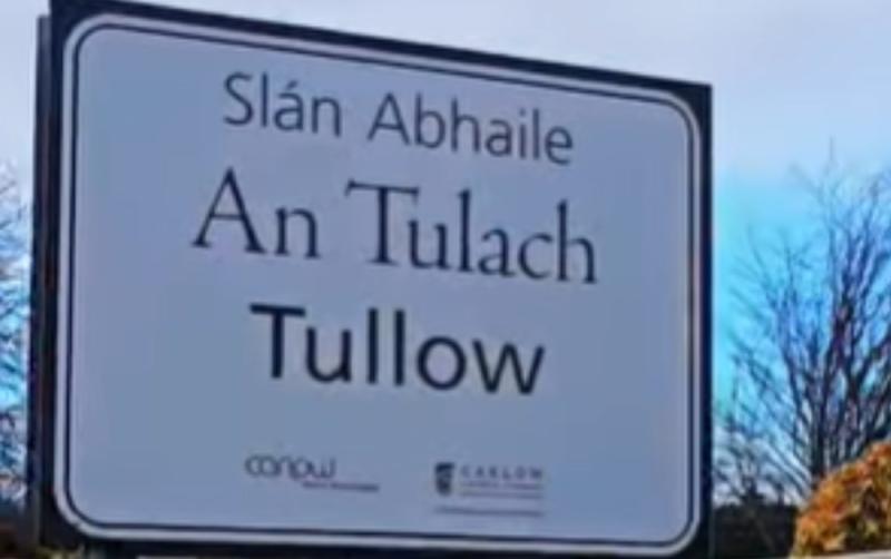 New 'living haven'  biodiversity garden almost ready for opening in Carlow