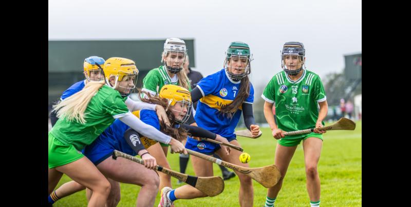 Tipperary minors fall short of the mark in semi-final after battle with impressive Limerick team