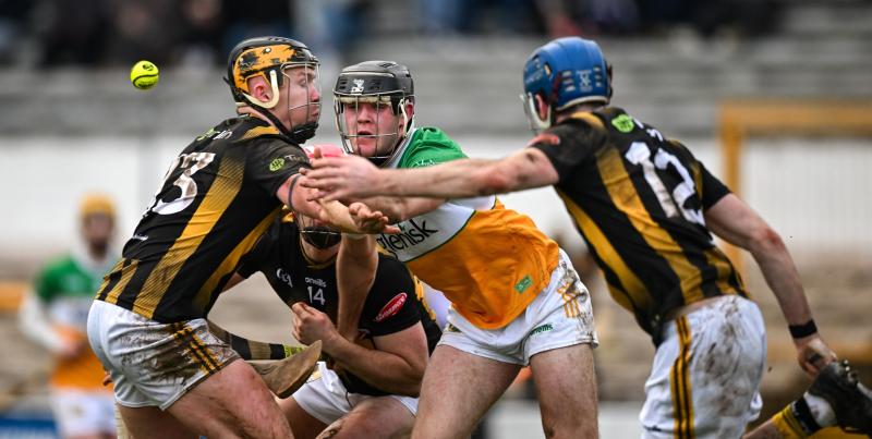 Offaly show plenty of battling spirit but Kilkenny hold on for narrow victory
