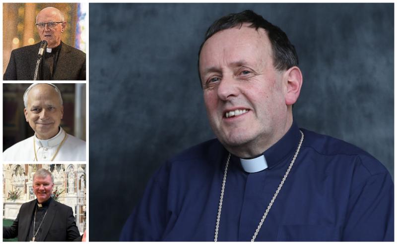 Pope Leo appoints temporary leader Laois Catholic 
