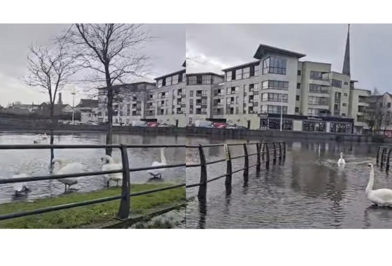 WATCH: Carlow man shares video of flooding in Carlow Town Park amid storm Chandra