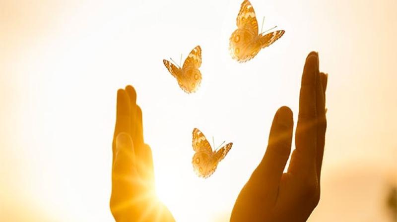 Face to face meetings for bereaved parents in Donegal resume