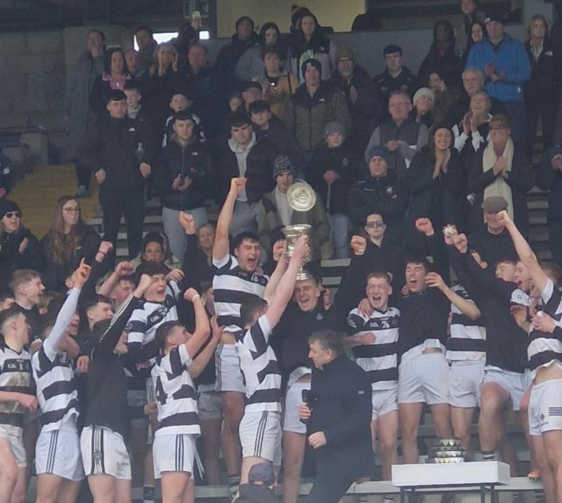 Rampant St Kieran's win 60th Leinster Colleges Hurling Title