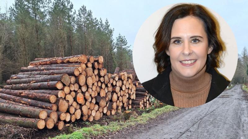 Brolly calls for continued transparency and community engagement on Garvagh Forest works