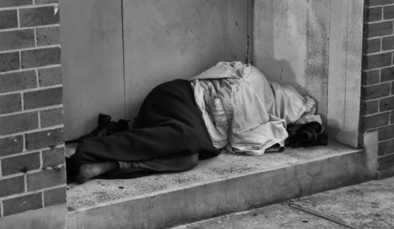 Councillor says people are intentionally making themselves homeless to access housing