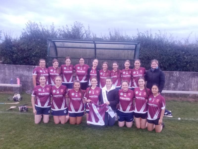 Rose Of Tralee-turned-Dancing Queen hails Kilkenny camogie roots