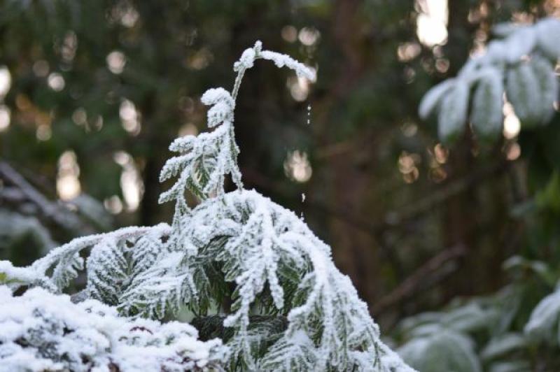 Rather windy in Donegal later, with falls of sleet and snow for a time