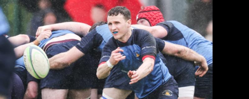 Tonic for Tipperary rugby as Kilfeacle are crowned champions of Munster Junior League