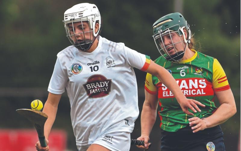 Kildare camogie set to finally get season underway against Wicklow this weekend