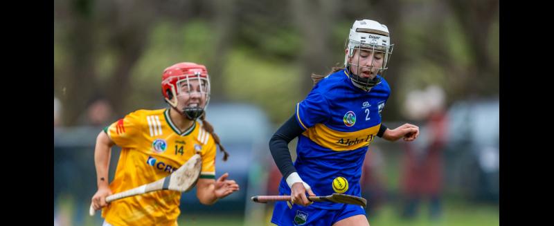 Tipperary camogie team makes winning start to life under new manager 