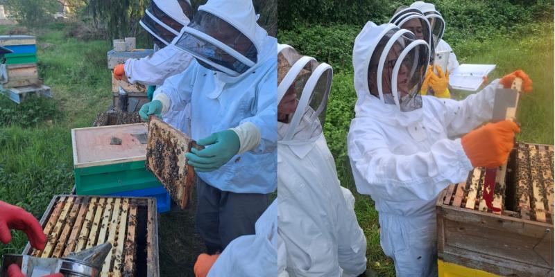 Beginners beekeeping course and information day announced in Leitrim