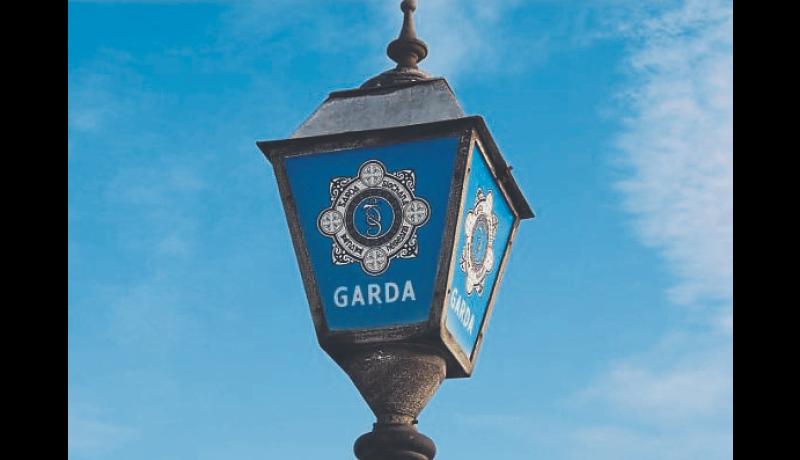 Limerick garda and drugs unit involved in investigation targeting criminal activity