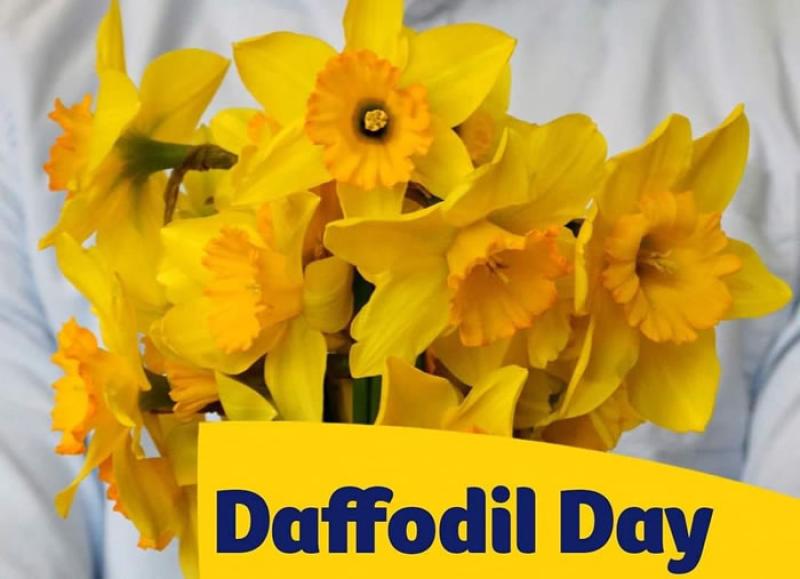REVEALED: Two groups in Tipperary are gearing up for Daffodil Day 2026