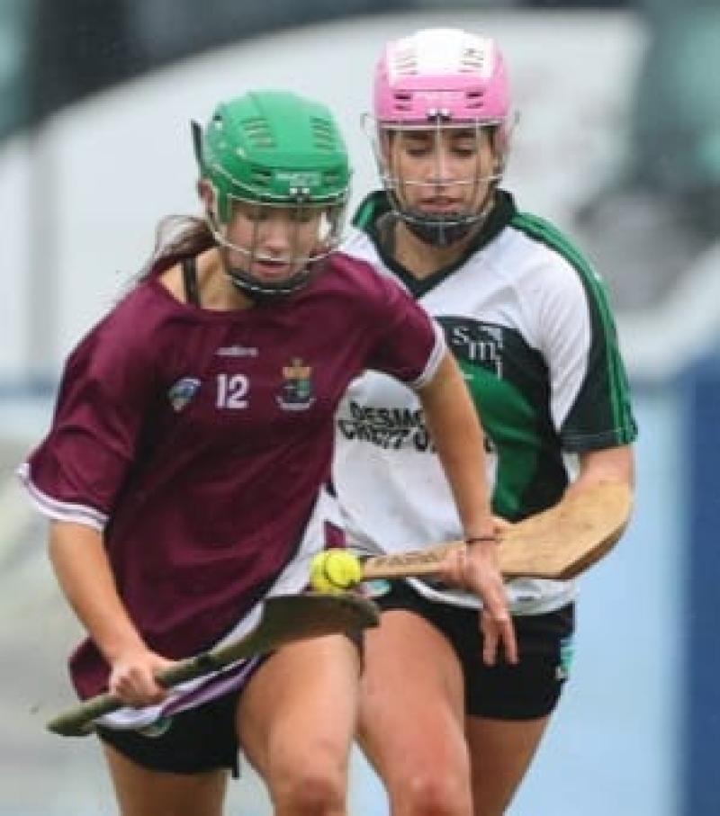 Sacred Heart Tullamore's All-Ireland dreams dashed by talented Newcastle West