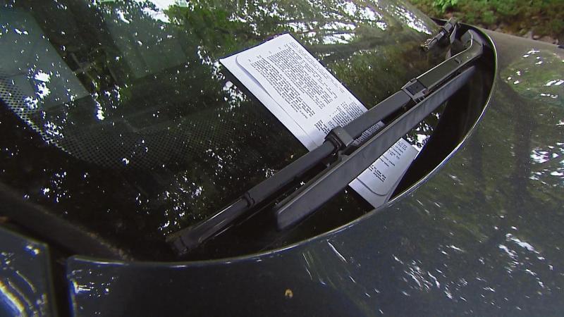 Calls for tougher action on drivers who park 'willy nilly' in Limerick's residential areas