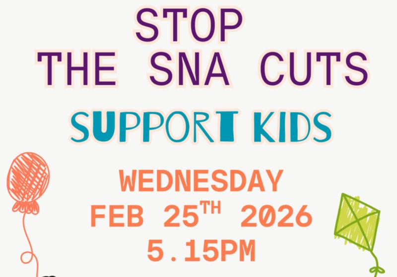 'SNA's are saving lives' - Autism Louth announce protest amid SNA review