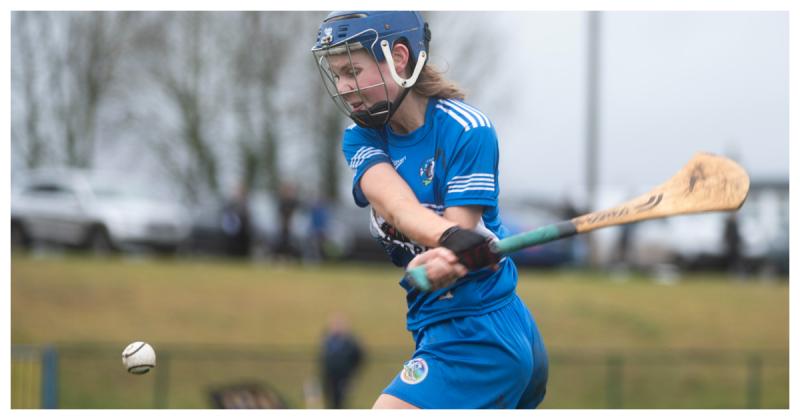 Collier to the fore as Laois Camogie defeat Derry in Abbeyleix