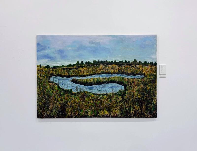 North  Kilkenny boglands feature in exhibition by local artist