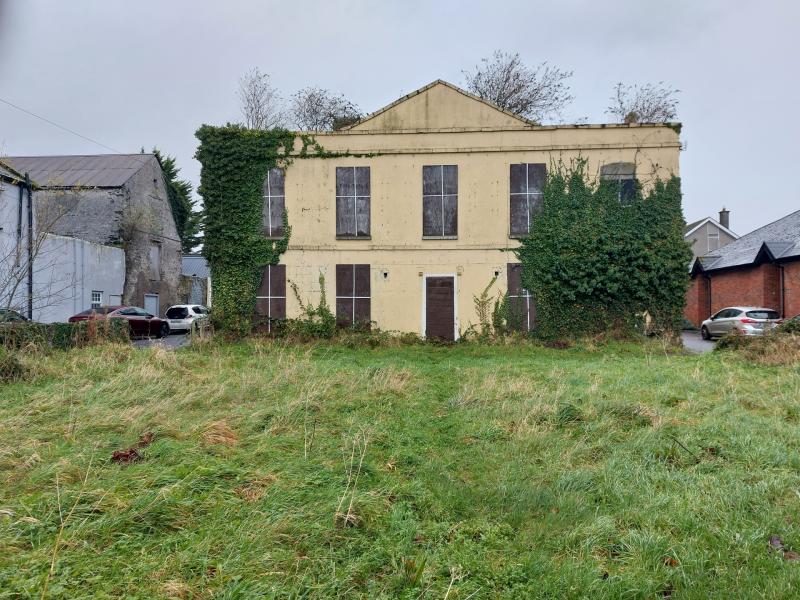 Derelict 210 year old Kildare house 'should be a water sports centre'