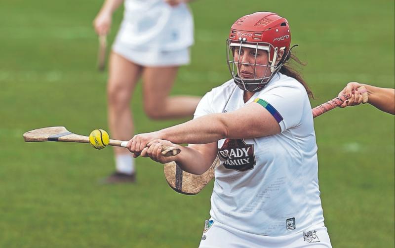 Kildare dominate in camogie season opener against Wicklow