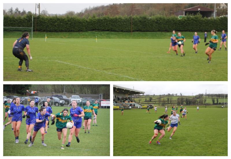 Gallery: Leitrim put Wicklow to the sword in Ballinamore