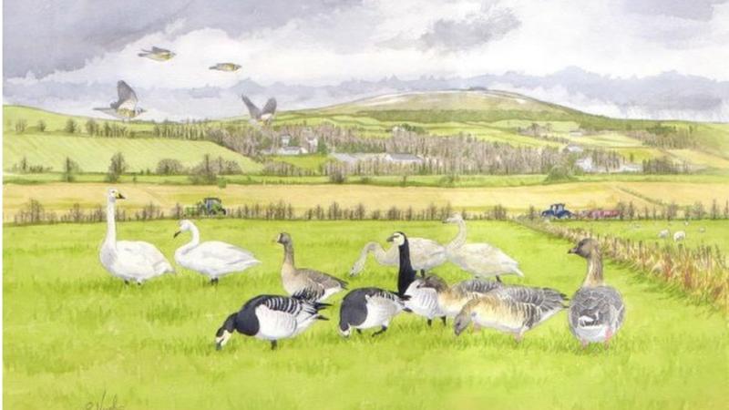 Have your say on Donegal&rsquo;s new Biodiversity Action Plan