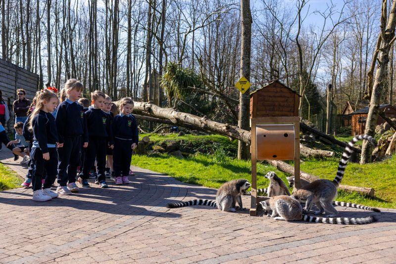 Waterford schools encouraged to take part in competition to win free entry to Emerald Park