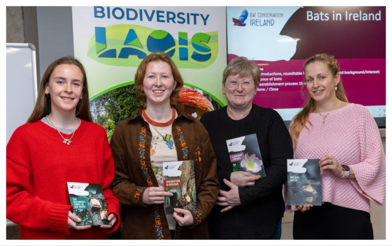 Meeting of first ever Bat Group in Laois a 'resounding success'