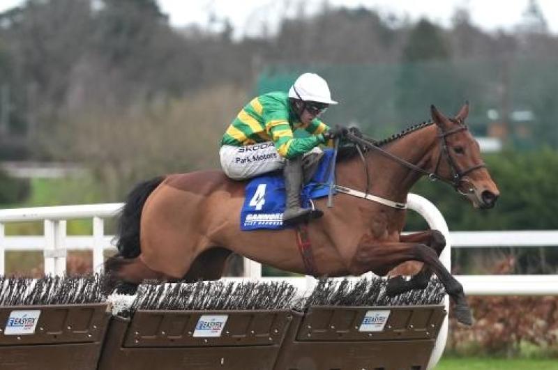 Willie Mullins favourite ruled out for the upcoming Cheltenham Festival