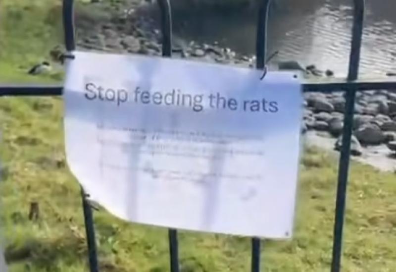 'Stop feeding the rats' signs in Laois estate as dumpers blamed for infestation