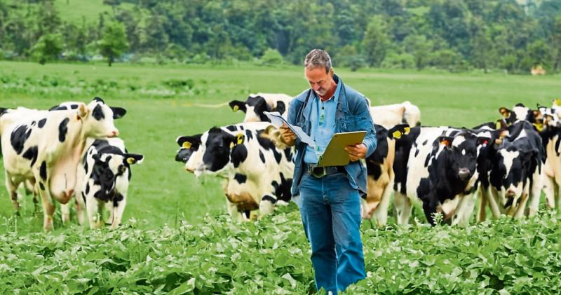 Longford farming news: Upcoming workshop will help organic farmers to remain compliant 