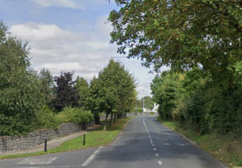 Laois County Council to begin removing trees along road amid safety concerns