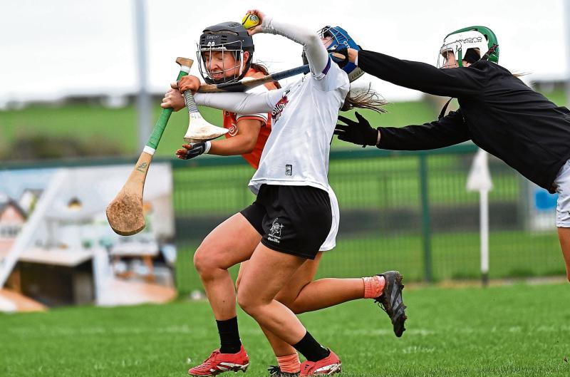  Experienced Armagh that bit too strong for Kildare in camogie clash 