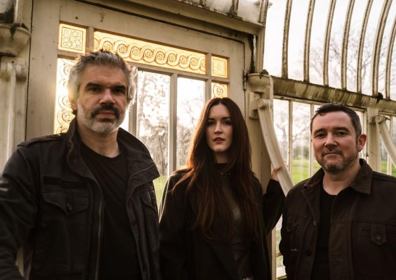 MacD on Music: Moonlight Shadow