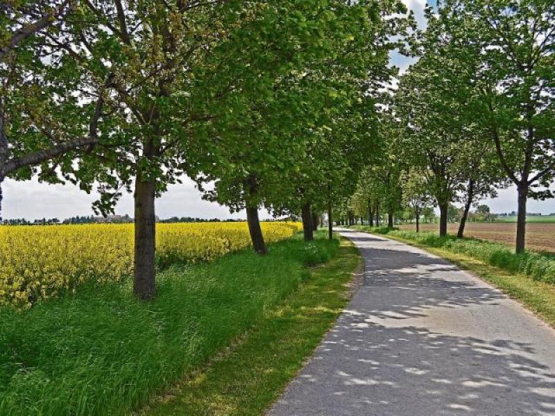 Boost for Tipperary as walk ways  set for upgrades to accommodate disabilities