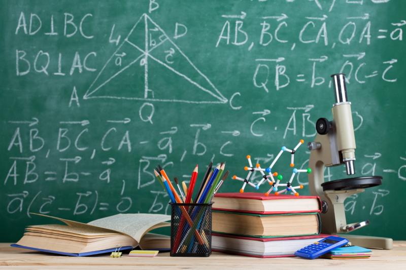 Special classes confirmed for Carlow school will help children 'reach full potential'