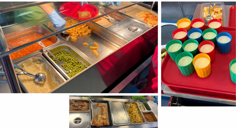 Anonymised photos of food from unannounced EA visits.