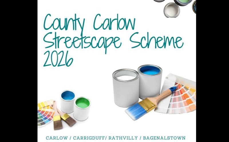 Want to spruce up your Carlow property? This new scheme offers a variety of enhancements