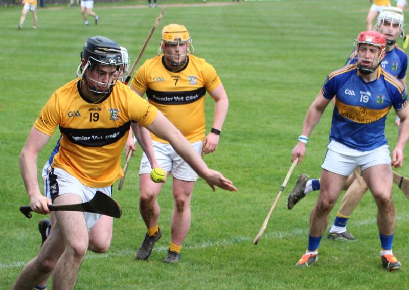 Tipperary have new Munster hurling champions after a magnificent display sinks Waterford champs